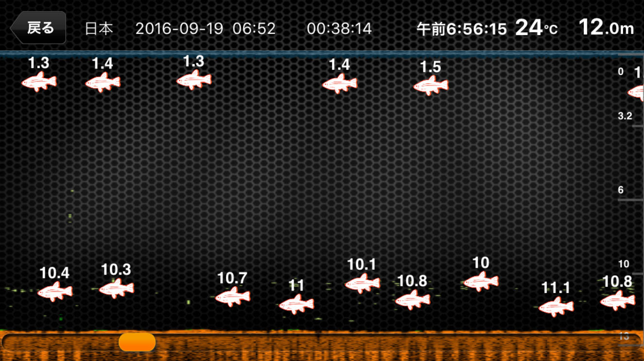 投げるワイヤレス魚探「Deeper」を使ってみた ボート編 – FOCALPOINT 