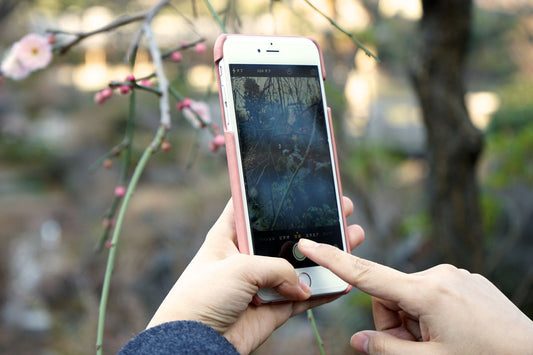 ホワイトデーギフトに！桜色ラムスキンのiPhoneケースを数量限定で発売開始。