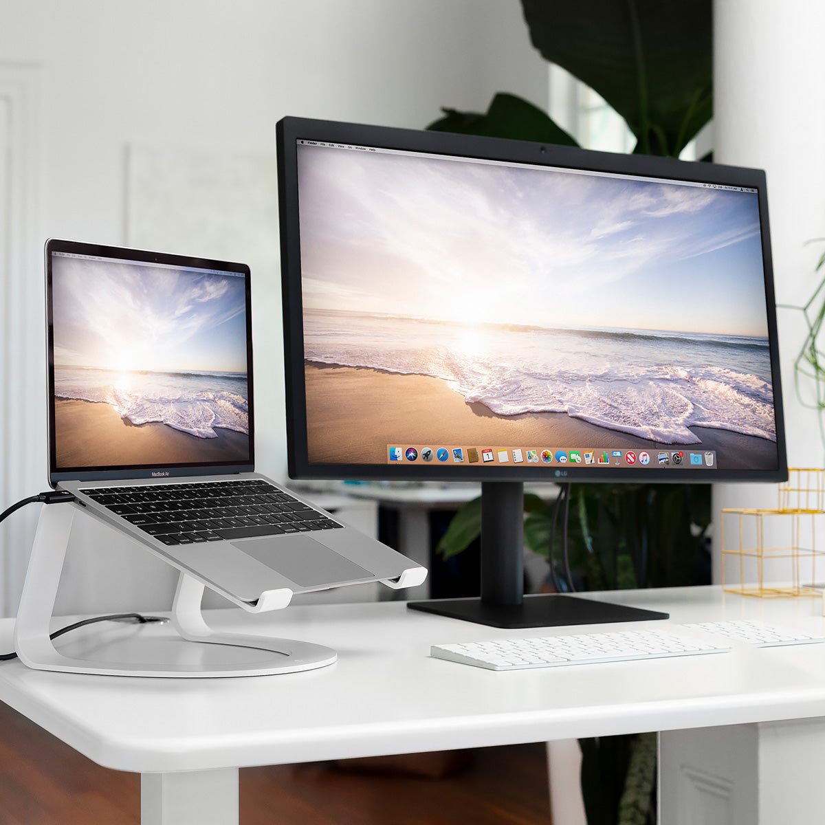 Twelve South Curve – FOCALPOINT DIRECT