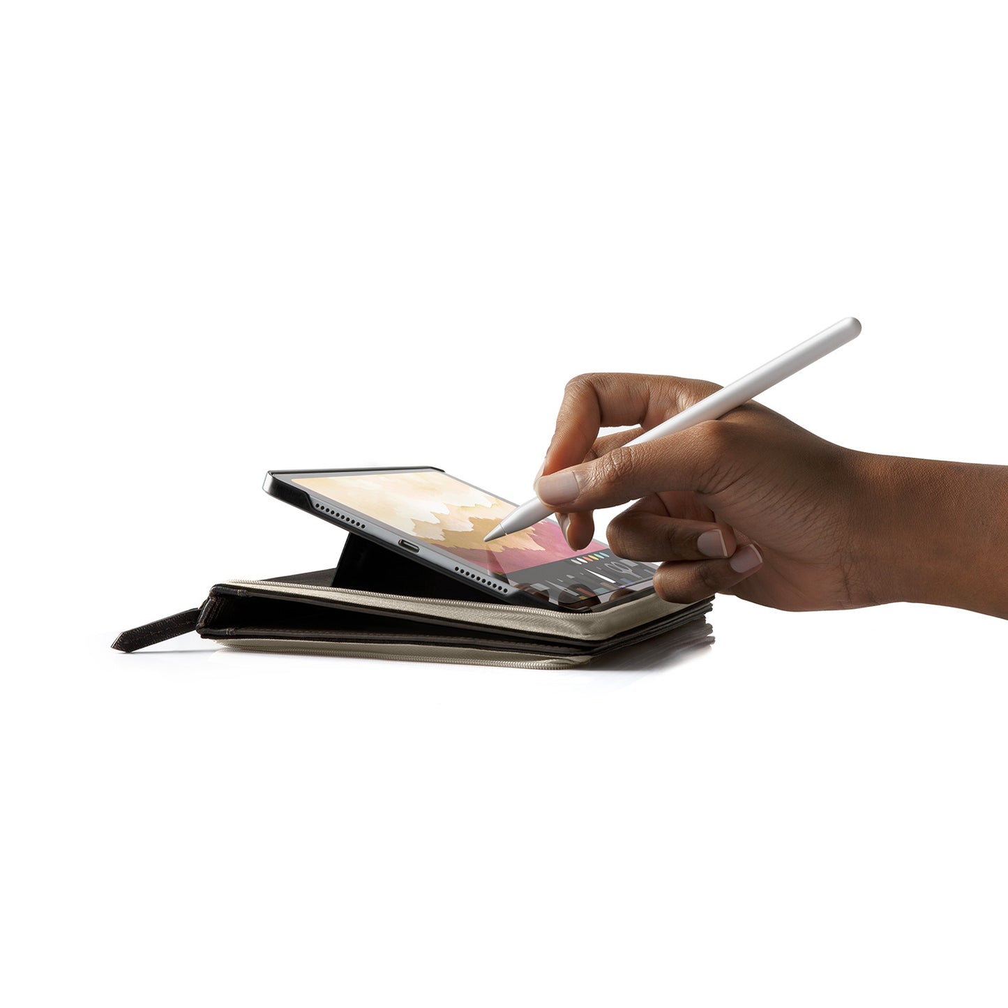 Twelve South BookBook for iPad mini 6