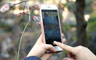 ホワイトデーギフトに！桜色ラムスキンのiPhoneケースを数量限定で発売開始。
